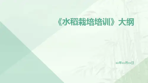 水稻栽培培训