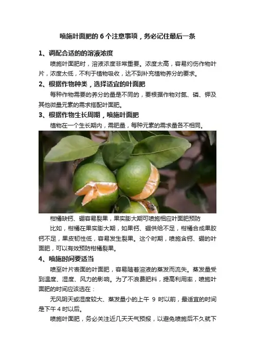 喷施叶面肥的6个注意事项，务必记住最后一条