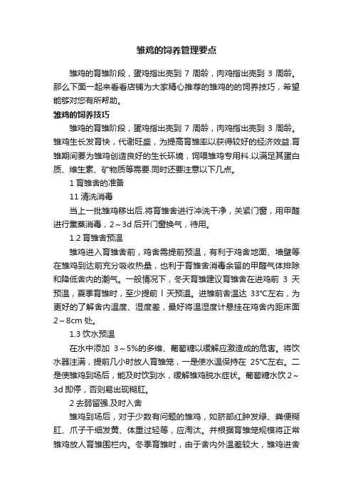 雏鸡的饲养管理要点