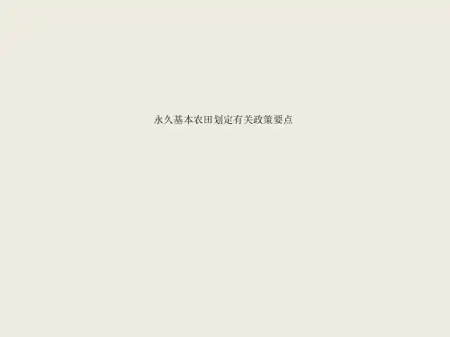 永久基本农田划定有关政策要点