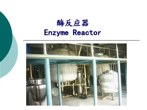 酶工程第六章酶反应器