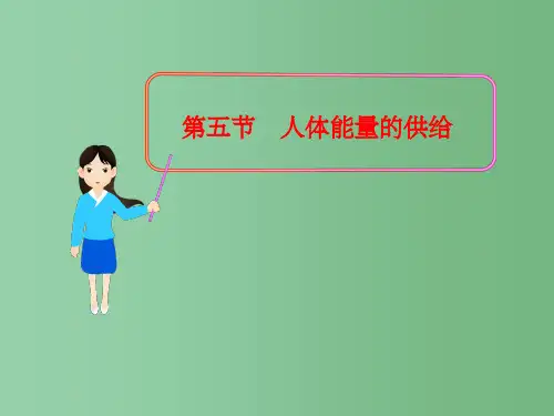七年级生物下册 第10章 第五节 人体能量的供给课件 苏教版