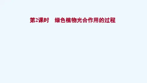 2021_2022版新教材高中生物第三章细胞中能量的转换和利用第二节第2课时绿色植物光合作用的过程课