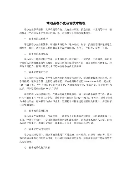 靖远县春小麦栽培技术规程