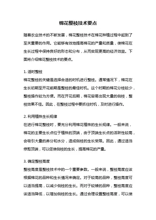棉花整枝技术要点