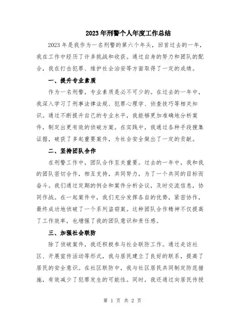 2023年刑警个人年度工作总结