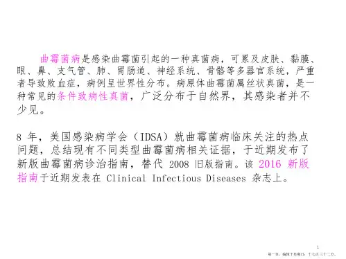 IDSA曲霉菌病诊治指南