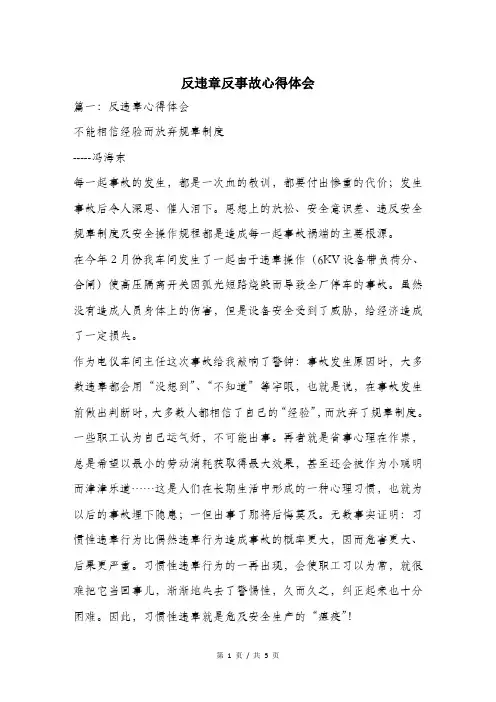 反违章反事故心得体会.doc