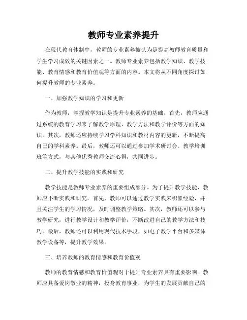 教师专业素养提升