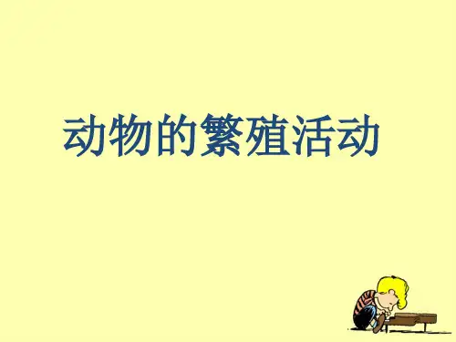 4.2-7《动物的繁殖活动》探究课件