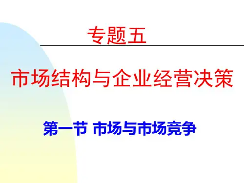 经济学：市场结构理论