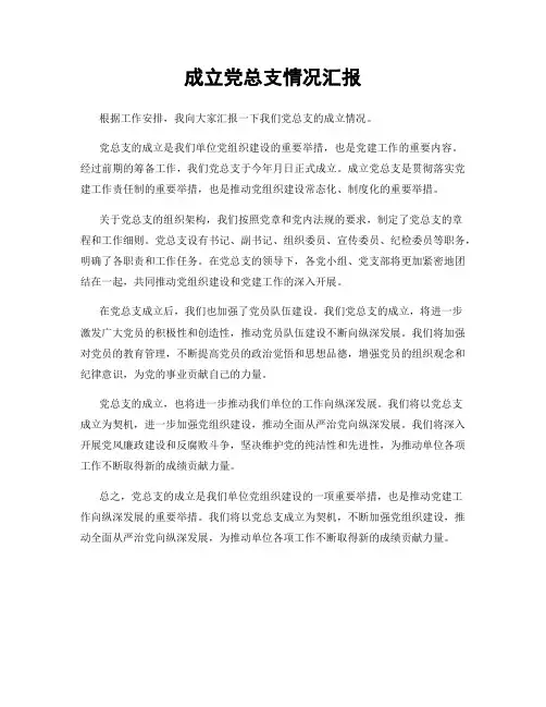 成立党总支情况汇报