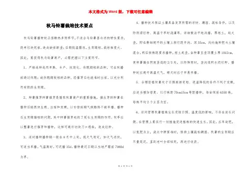 秋马铃薯栽培技术要点