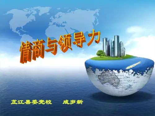 情商与领导力课件