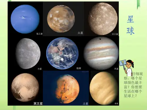 多彩的生命世界ppt优秀课件3 北师大版