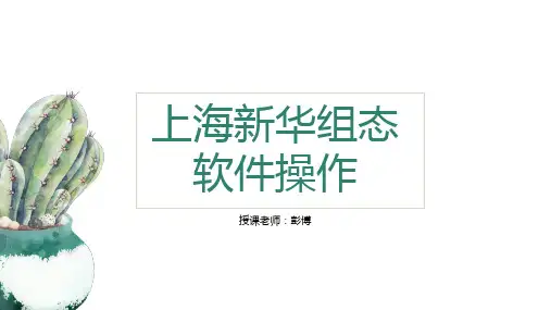 上海新华DCS
