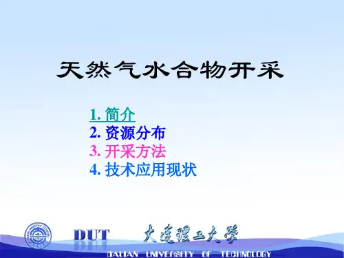 天然气水合物PPT