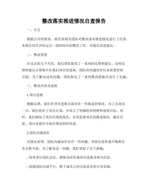整改落实推进情况自查报告