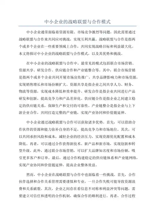 中小企业的战略联盟与合作模式