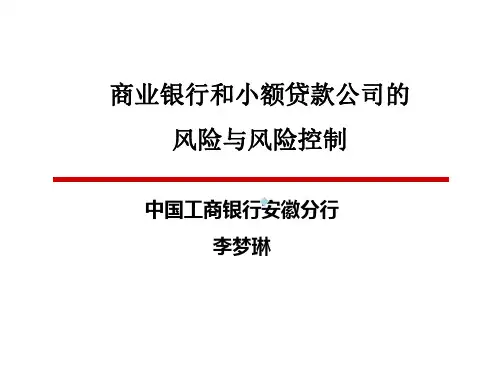 商业银行和小额贷款公司风险与控制课件