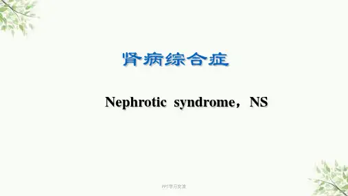 儿科学肾病综合症 ppt课件