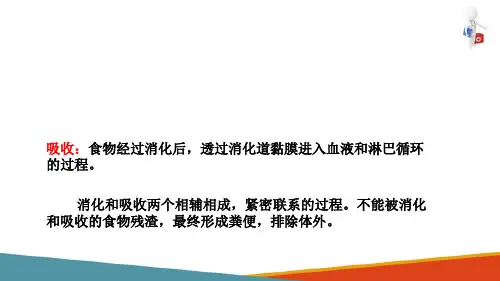 消化系统—各段消化管的消化(人体解剖生理学课件)