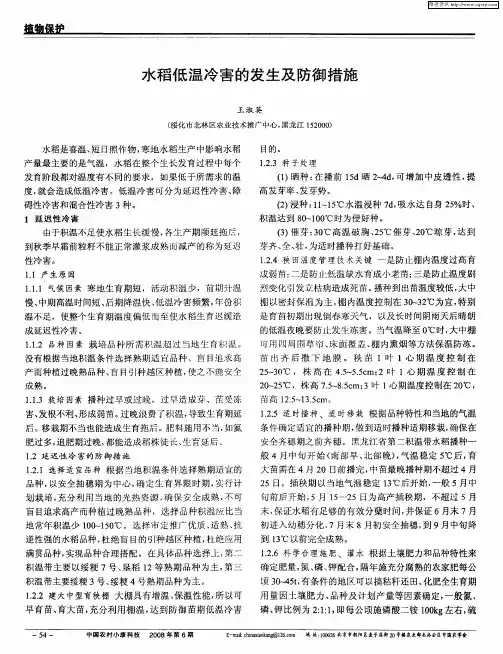 水稻低温冷害的发生及防御措施