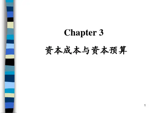 第3讲 资本成本与资本预算