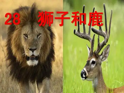 新课标人教版语文三年级上册《28.狮子和鹿》
