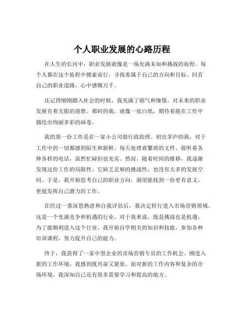 个人职业发展的心路历程