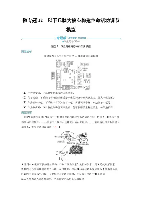 微专题12 以下丘脑为核心构建生命活动调节模型-2025高中生物高考备考