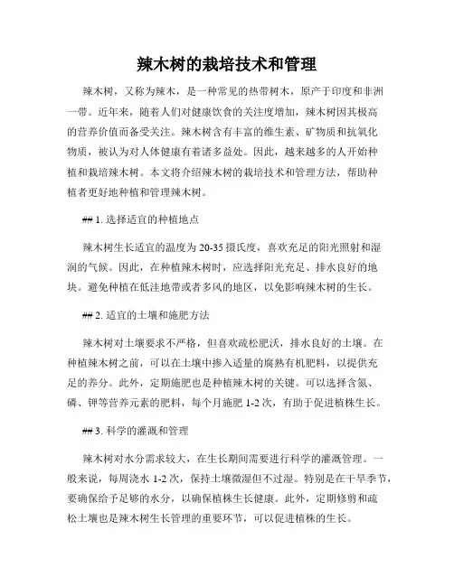 辣木树的栽培技术和管理