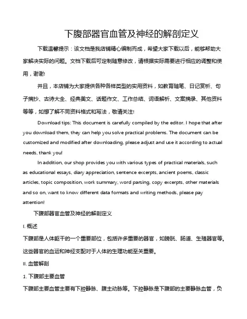 下腹部器官血管及神经的解剖定义