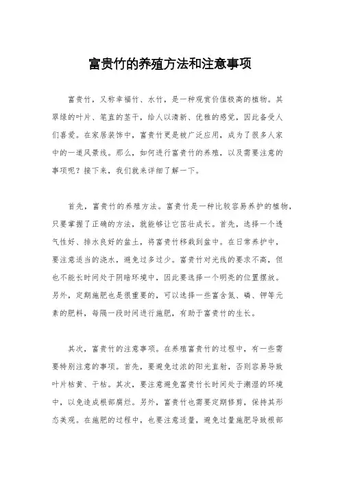 富贵竹的养殖方法和注意事项