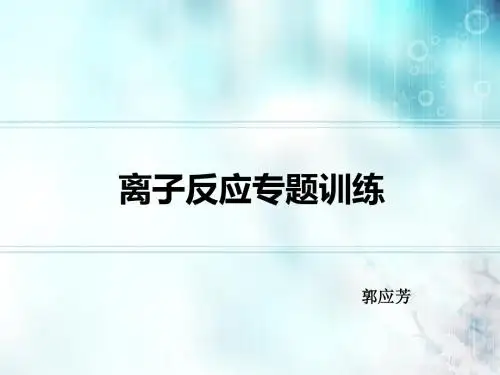 离子反应专题训练