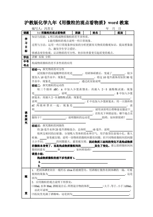 沪教版化学九年《用微粒的观点看物质》word教案