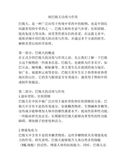 制巴戟天功效与作用