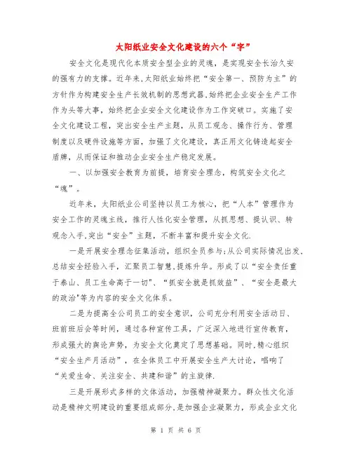 太阳纸业安全文化建设的六个“字”
