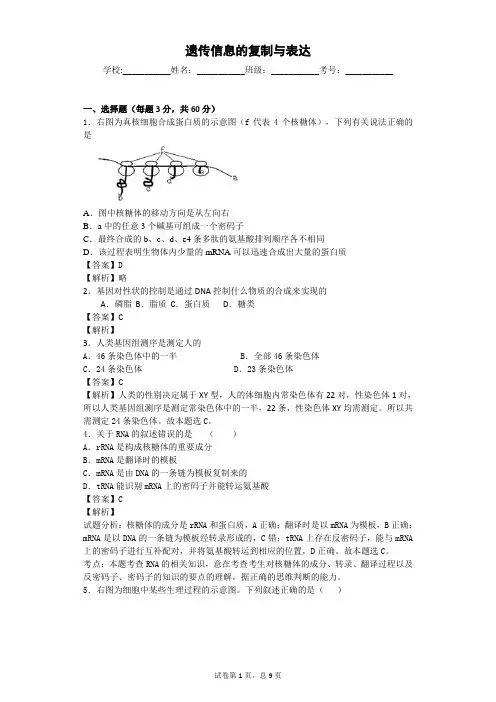 北师大版 遗传信息的复制与表达 单元测试6