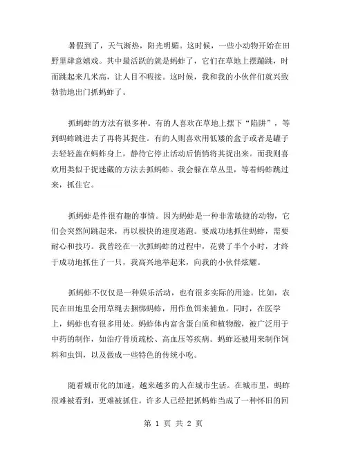 抓蚂蚱的作文范文