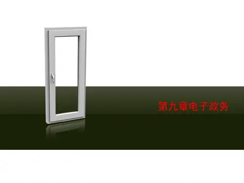 第九章电子政务