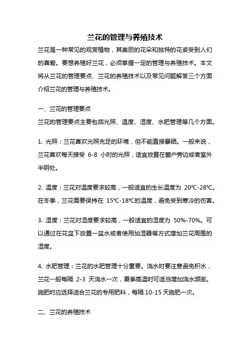 兰花的管理与养殖技术