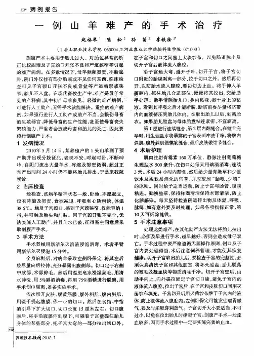 一例山羊难产的手术治疗