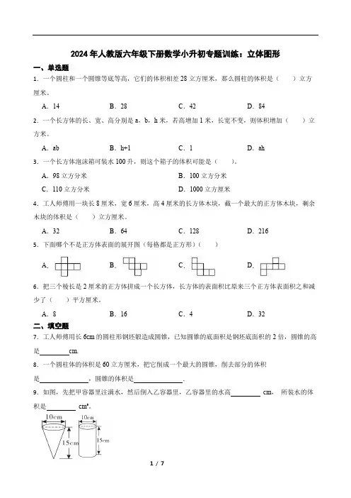 2024年人教版六年级下册数学小升初专题训练：立体图形