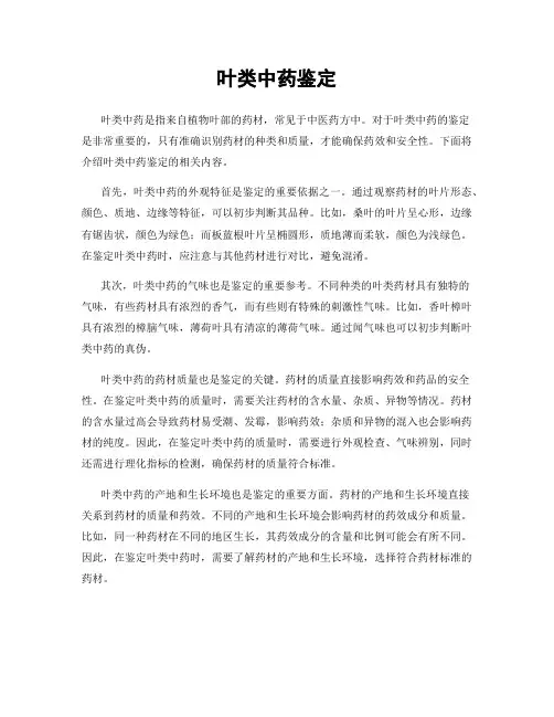 叶类中药鉴定
