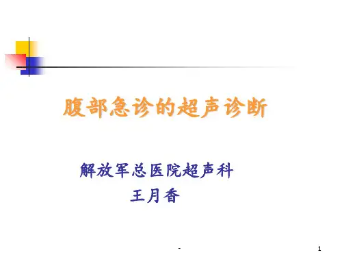 腹部急诊的超声诊断PPT课件