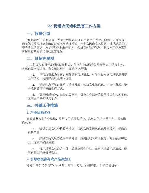 XX街道农民增收致富工作方案