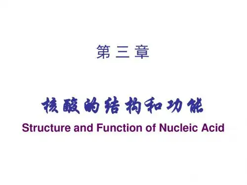 核酸化学2011