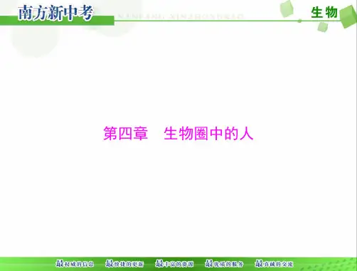 [原创]2019年《南方新中考》生物 第二部分 考场必背 第四章 生物圈中的人[配套课件]