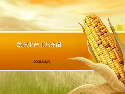 氮肥产生工艺讲解
